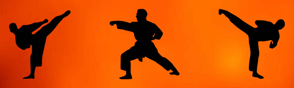 Korean Karate graphic poses